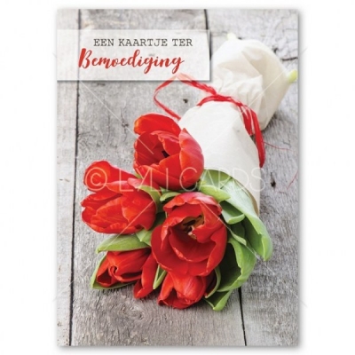 Wenskaart | Bemoediging | Rode tulpen