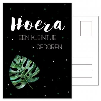 Ansichtkaart | Hoera een kleintje geboren