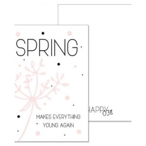 A5 kaart Spring