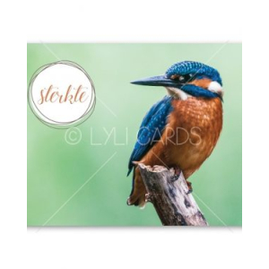 Wenskaart | Sterkte | IJsvogel