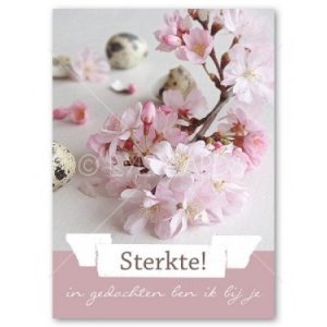 Wenskaart | Sterkte | Bloesem