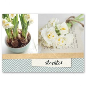 Wenskaart | Sterkte | Narcissen