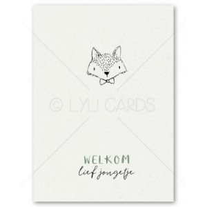 Postkaart | zoon | doodle vos