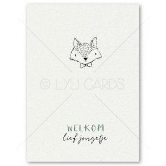 Postkaart | zoon | doodle vos