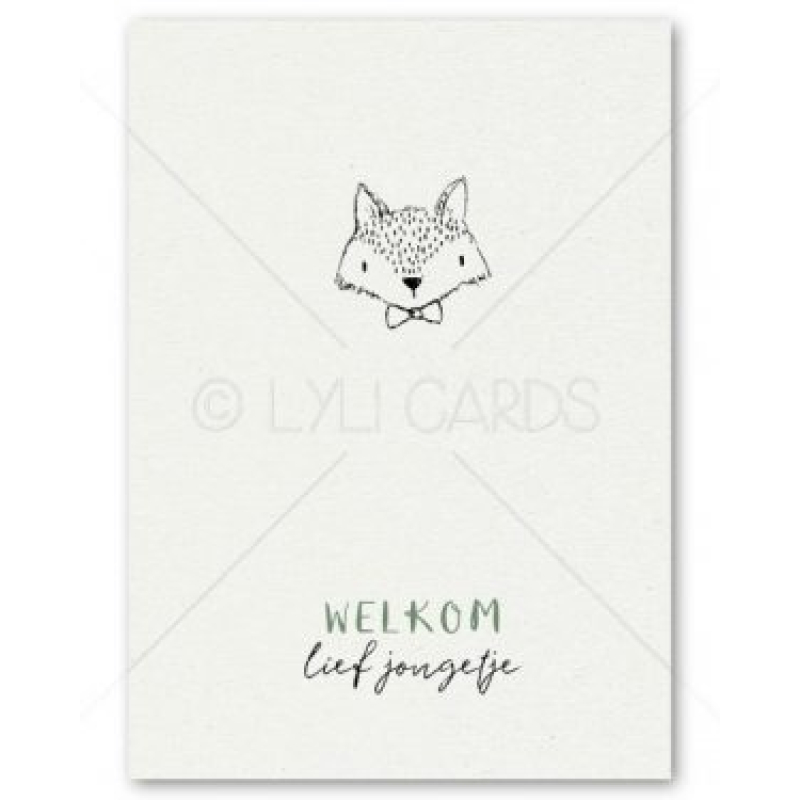 Postkaart | zoon | doodle vos